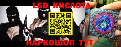 прущие грибы Конаково
