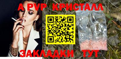 дурь Кингисепп