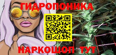 дурь Кингисепп