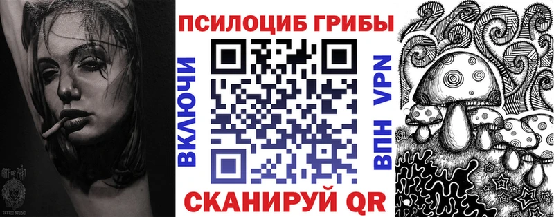 Галлюциногенные грибы Psilocybe  Нововоронеж 