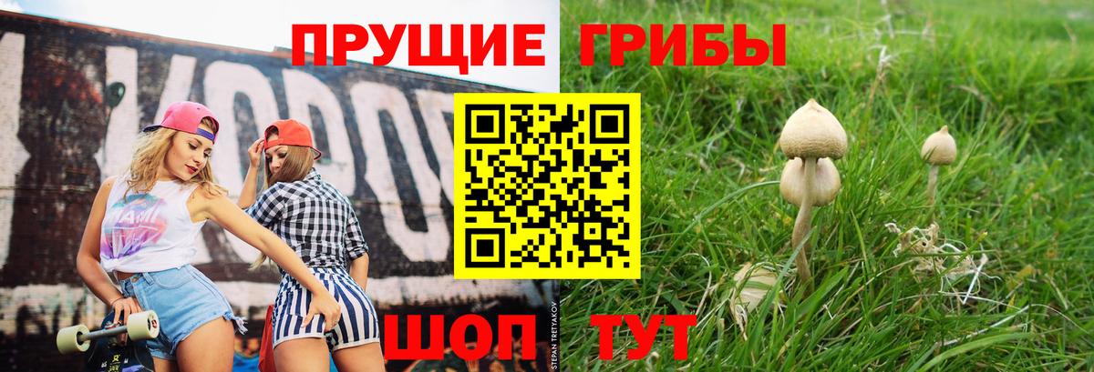 Alpha PVP СК   Бошки Шишки  ГАШ  Нововоронеж  Вейп ТГК  Где купить наркотики?  Мефедрон   Вход с VPN 